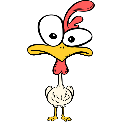 Confused Chicken